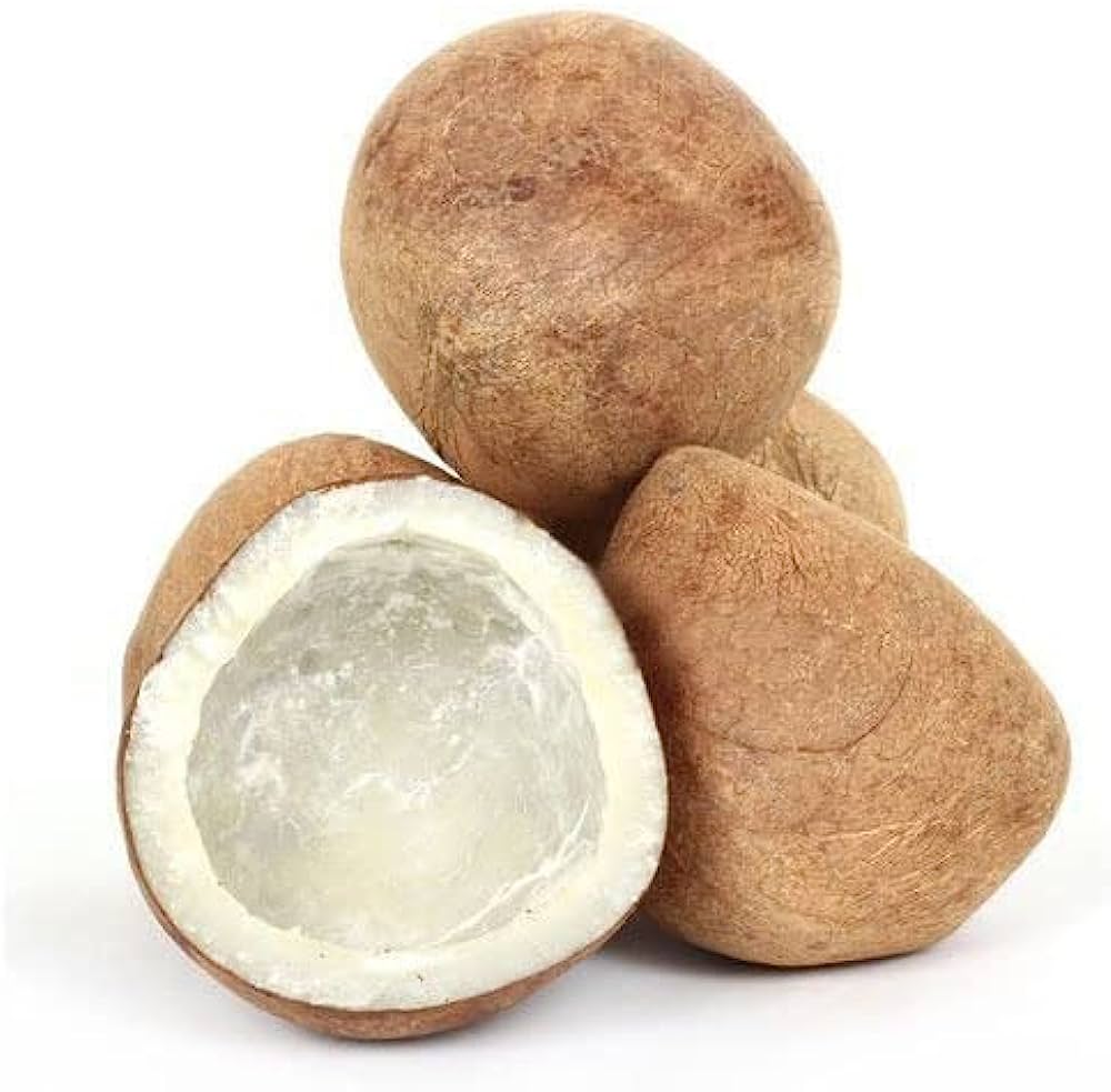 Discover the Health Benefits of Dry Coconut