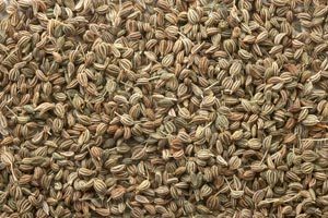 Ajwain