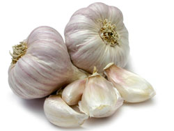 What are the benefits of garlic?