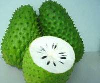 benefits of soursop