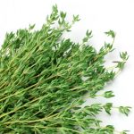 about thyme