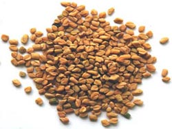 Fenugreek health benefits